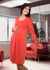 Autumn Maternity Dress with Sleeves
