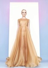 auksinė organzos suknelė
