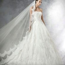 Pronovias lace wedding dress
