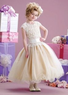 Elegantna pufnasta haljina niskog struka za djevojčicu