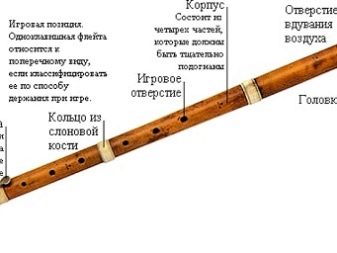 decorate humor new Zealand Flaut (46 de fotografii): tipuri de instrument muzical. Cum arată opțiunile  transversale, din lemn cu mai multe țevi, alto, antic și alte opțiuni?