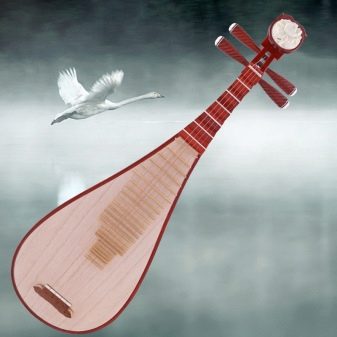 vein ebb tide Risky Instrument muzical pipa (18 fotografii): descrierea instrumentului chinezesc,  caracteristici sonore