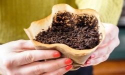 8 useful uses of coffee grounds that many people don't even know about