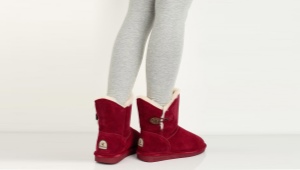 Uggs Patte d'ours
