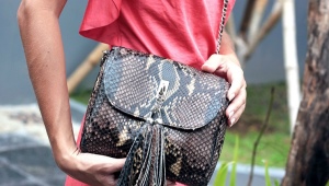 What to wear python bags with?