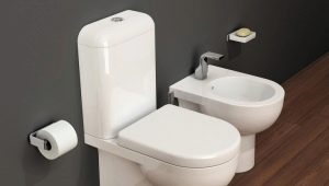 How to properly clean the toilet?