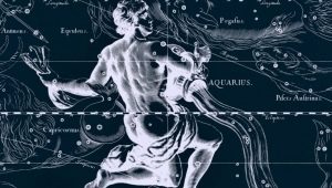Pria Aquarius-Rooster: deskripsi kepribadian dan fitur interaksi 
