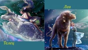 Taurus og Leo-kompatibilitet: venlige og kærlige forhold