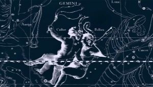 Karakteristika og kompatibilitet af en Gemini-mand født i Tigerens år