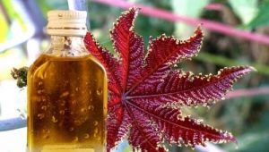 The use of castor oil in cosmetology