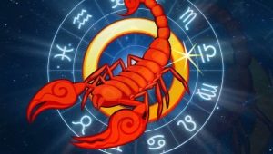 Scorpio Man, born in the year of the Rooster: compatibility and characteristics
