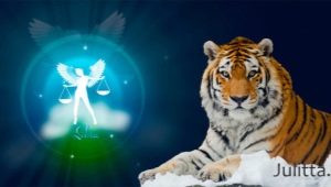 Libra-Tiger man: vlastnosti a kompatibilita