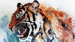 Škorpiónka narodená v roku tigra: vlastnosti a kompatibilita