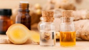 Ginger oil: benefits and harms, options for use
