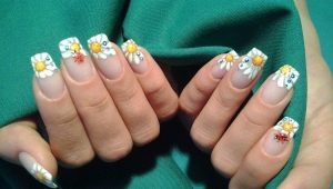 Chamomile manicure: decor features and season trends
