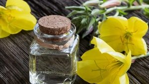 Evening primrose oil: komposisyon, benepisyo at pinsala, mga pagpipilian para sa paggamit