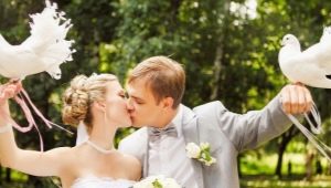 Duiven op een bruiloft - alles over de eigenaardigheden van traditie