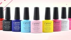 Đặc điểm và tính năng của việc áp dụng sơn gel Canni
