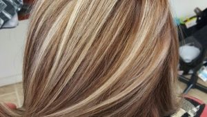 Highlighting with toning for light brown hair