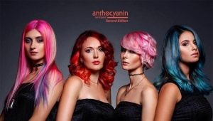 Alt om Anthocyanin hårfarve
