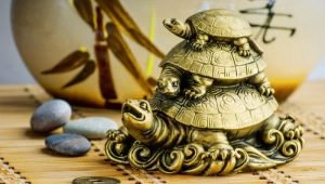 Значението на костенурката: къде да поставите, какво символизира в бижута и талисмани?