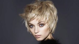 Haircuts: types, fashion trends, selection nuances