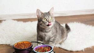 What is the cat food made of and which composition is better?