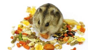 How to choose hamster food?
