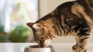 How is food for neutered cats different from regular food?