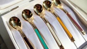 Dessert spoons: features and choices