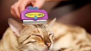 Furminator untuk kucing: penerangan, jenis, pemilihan dan aplikasi
