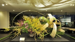 Ikebana: what is it, history and rules of creation