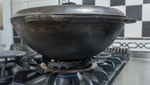 How to choose the right cauldron for the stove?