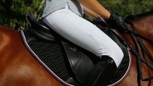 How to choose riding breeches?