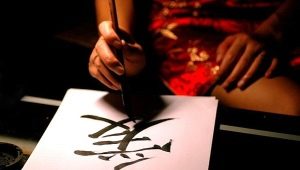 Kinų kaligrafija: istorija ir stiliai