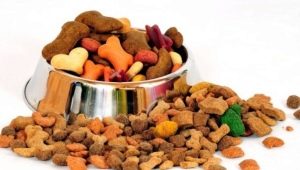 طعام الكلاب المتميز الفائق: الخصائص ، نظرة عامة ، الاختيار ، قواعد التغذية