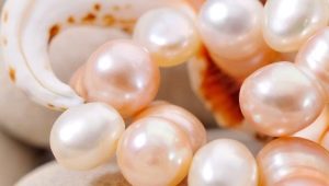 Mga nilinang perlas: mga uri at proseso ng paglilinang