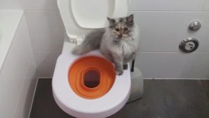 أغطية المراحيض للقطط