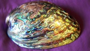 Mother of pearl: what it is, properties and colors