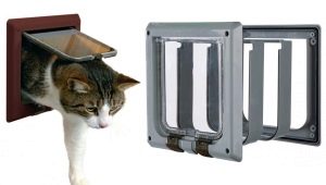 Tipos y selección de puertas para gatos.
