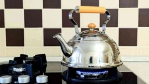 Ấm đun nước dùng cho bếp ga: các loại và sự lựa chọn tinh tế