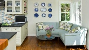 Palet warna sofa dapur: apakah itu dan bagaimana untuk memilih?