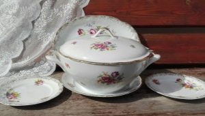 Kahla porcelain: types, tips for choosing and caring for dishes