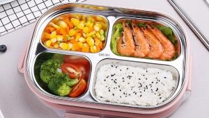 Verwarmde voedselcontainers: beschrijving, soorten en tips om te kiezen