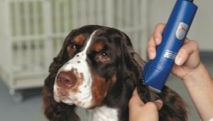 Dog clippers: varieties, selection and application