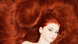 Copper red hair color: shades and tips for the selection