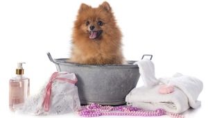 Bolehkah saya membasuh anjing saya dengan syampu manusia?