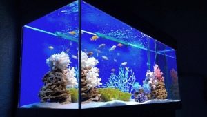 Възможно ли е да изключите филтъра в аквариума през нощта и по какви причини?