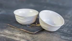 Bowls: types and features of choice
