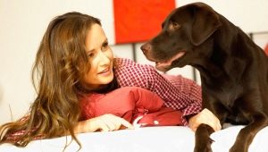 Canine language: how do dogs communicate with the owner and do they understand him?
